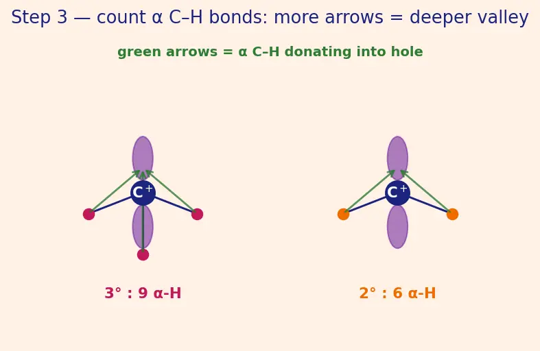 Figure — Reactive intermediates — carbocations (stability), carbanions, free radicals, carbenes, nitrenes; rearrangements (hydrid