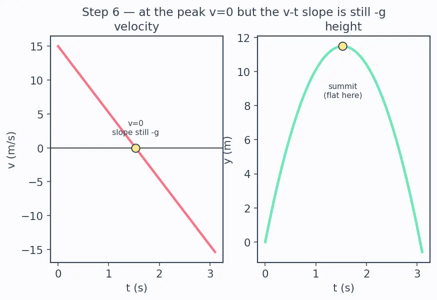 Figure — Free fall — g = 9.8 m - s², sign conventions
