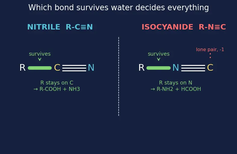 Figure — Cyanides and isocyanides