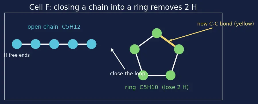 Figure — Catenation and the diversity of organic molecules