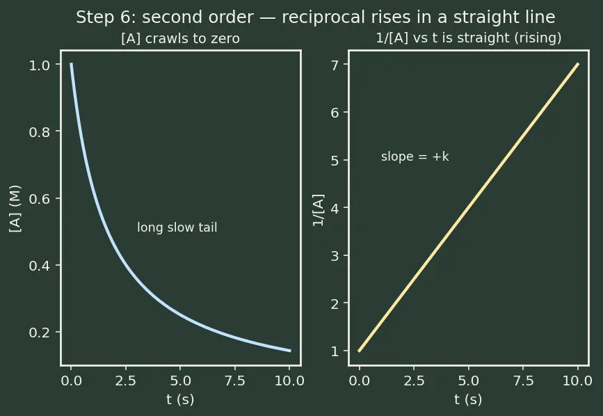 Figure — Differential rate equations for 0, 1st, 2nd order — derivations