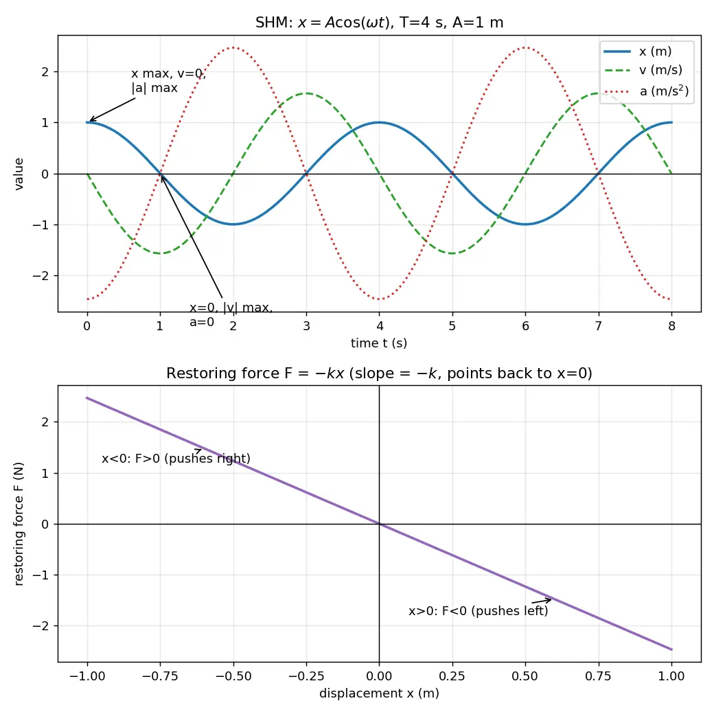 Figure — Simple harmonic motion — definition, restoring force F = −kx