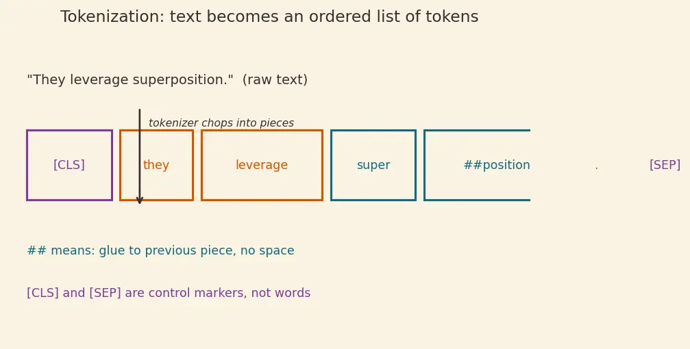 Figure — Next sentence prediction