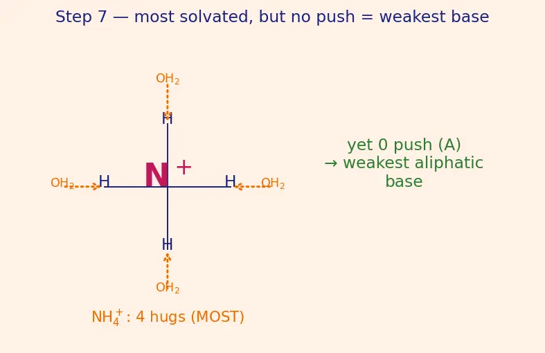 Figure — Amines — basicity (alkyl  -  NH₃  -  aryl in water; reverse in gas phase), Hofmann elimination, carbylamine, Hinsberg te