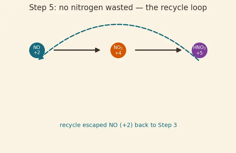 Figure — Group 15 (Nitrogen family) — N₂ inertness; NH₃ synthesis (Haber); HNO₃ (Ostwald); oxides of N (N₂O, NO, NO₂, N₂O₄, N₂O₅)