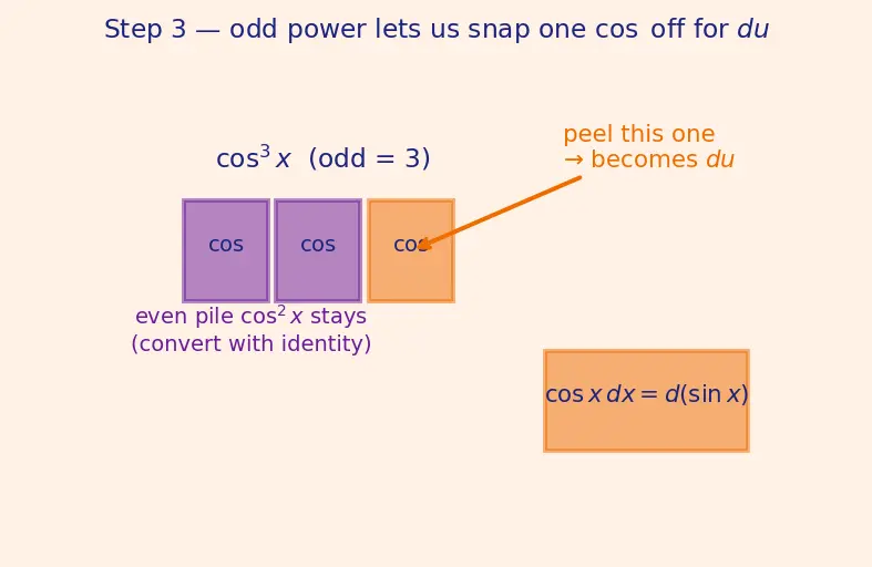 Figure — Trigonometric integrals — sinᵐ·cosⁿ cases, tan and sec cases