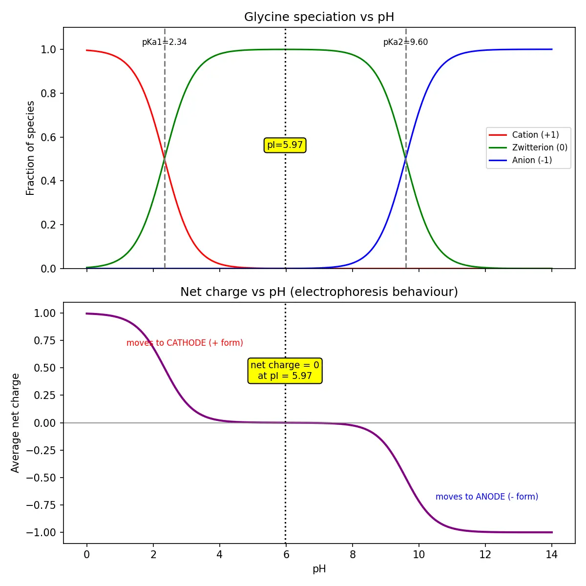 Figure — Amino acids — zwitterion, isoelectric point pI, classification (essential, non-essential)