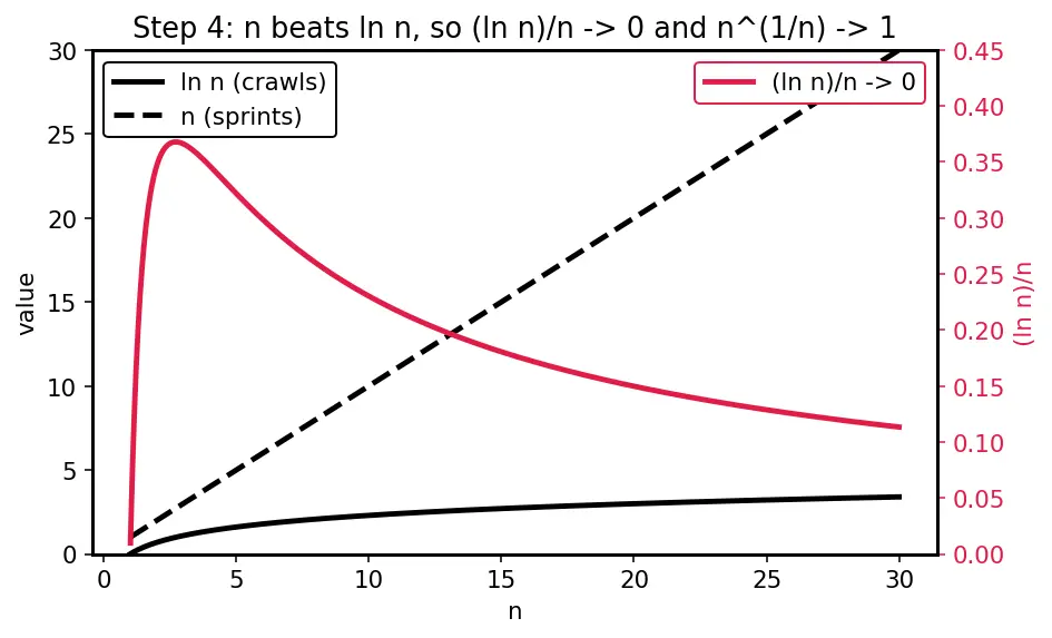 Figure — Term-by-term differentiation and integration of power series