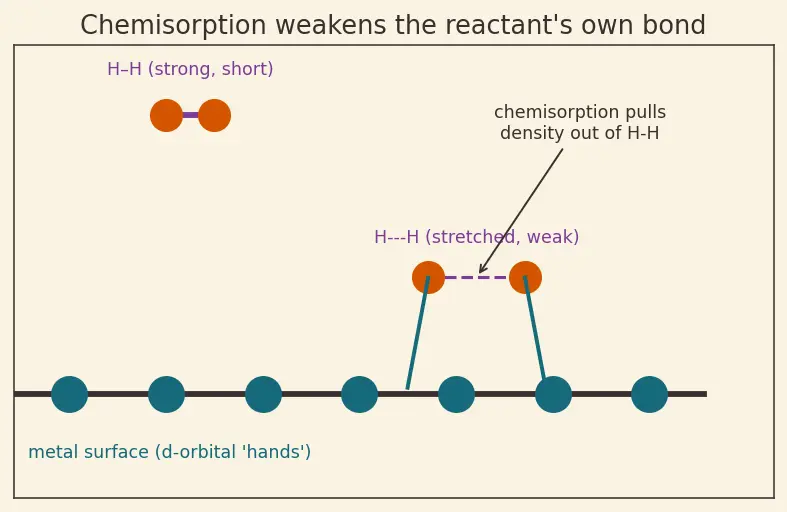 Figure — Catalytic properties — examples (V₂O₅, Fe, Ni, Pt)