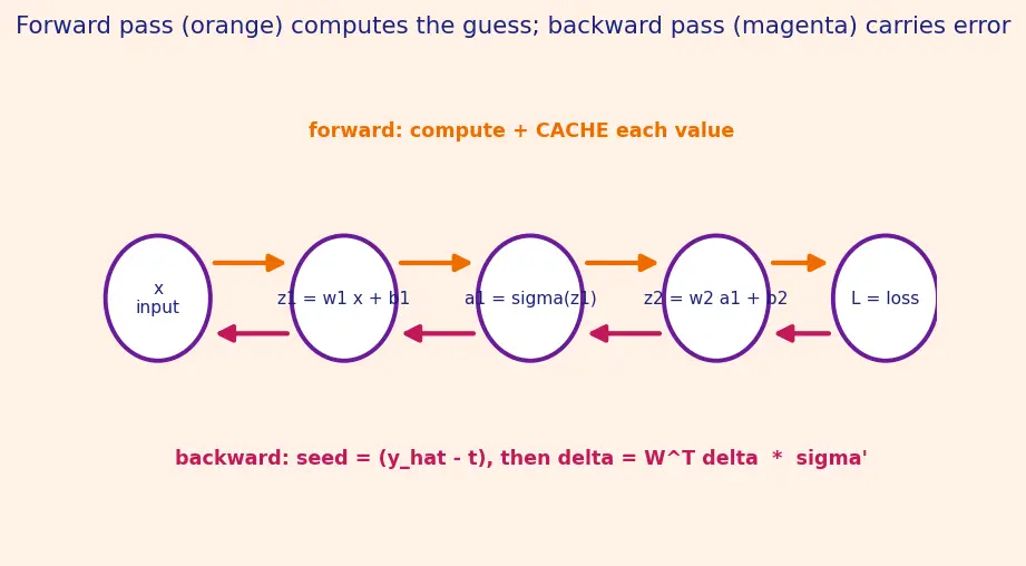 Figure — Backpropagation — chain rule, gradient computation
