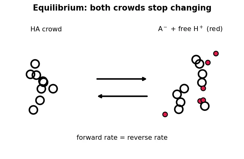 Figure — Buffer solutions — Henderson-Hasselbalch equation