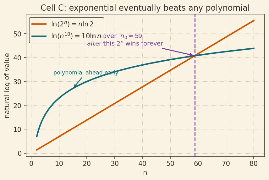 Figure — Tight bounds — Θ notation; lower bounds — Ω notation
