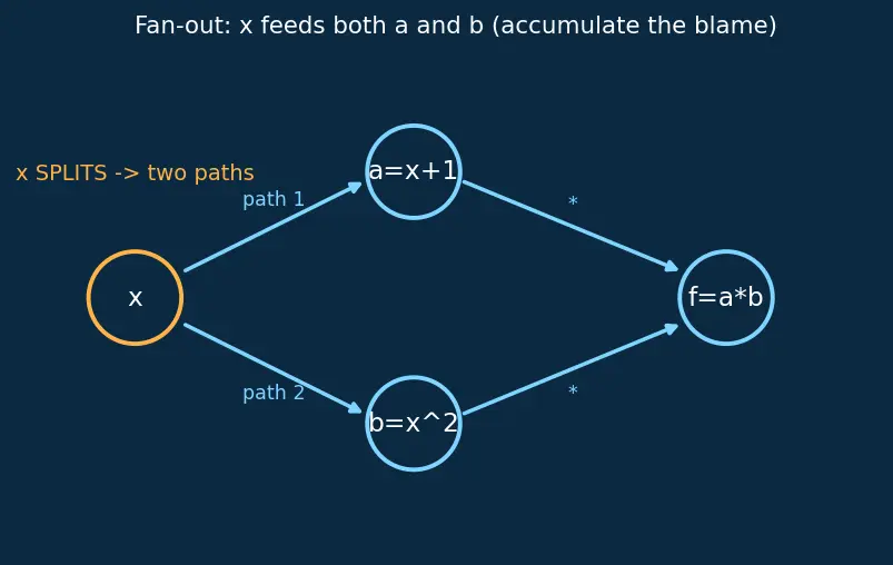 Figure — Computational graphs and autograd