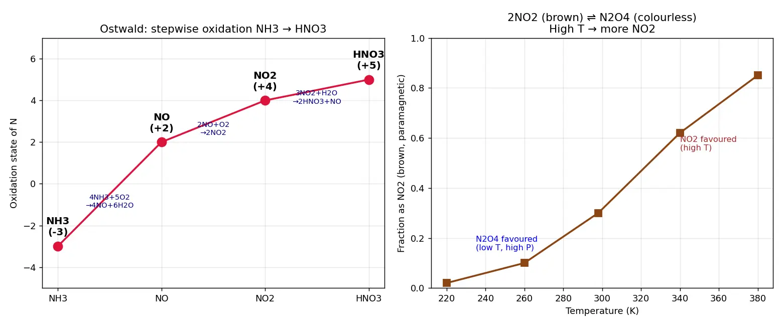 Figure — Group 15 (Nitrogen family) — N₂ inertness; NH₃ synthesis (Haber); HNO₃ (Ostwald); oxides of N (N₂O, NO, NO₂, N₂O₄, N₂O₅)