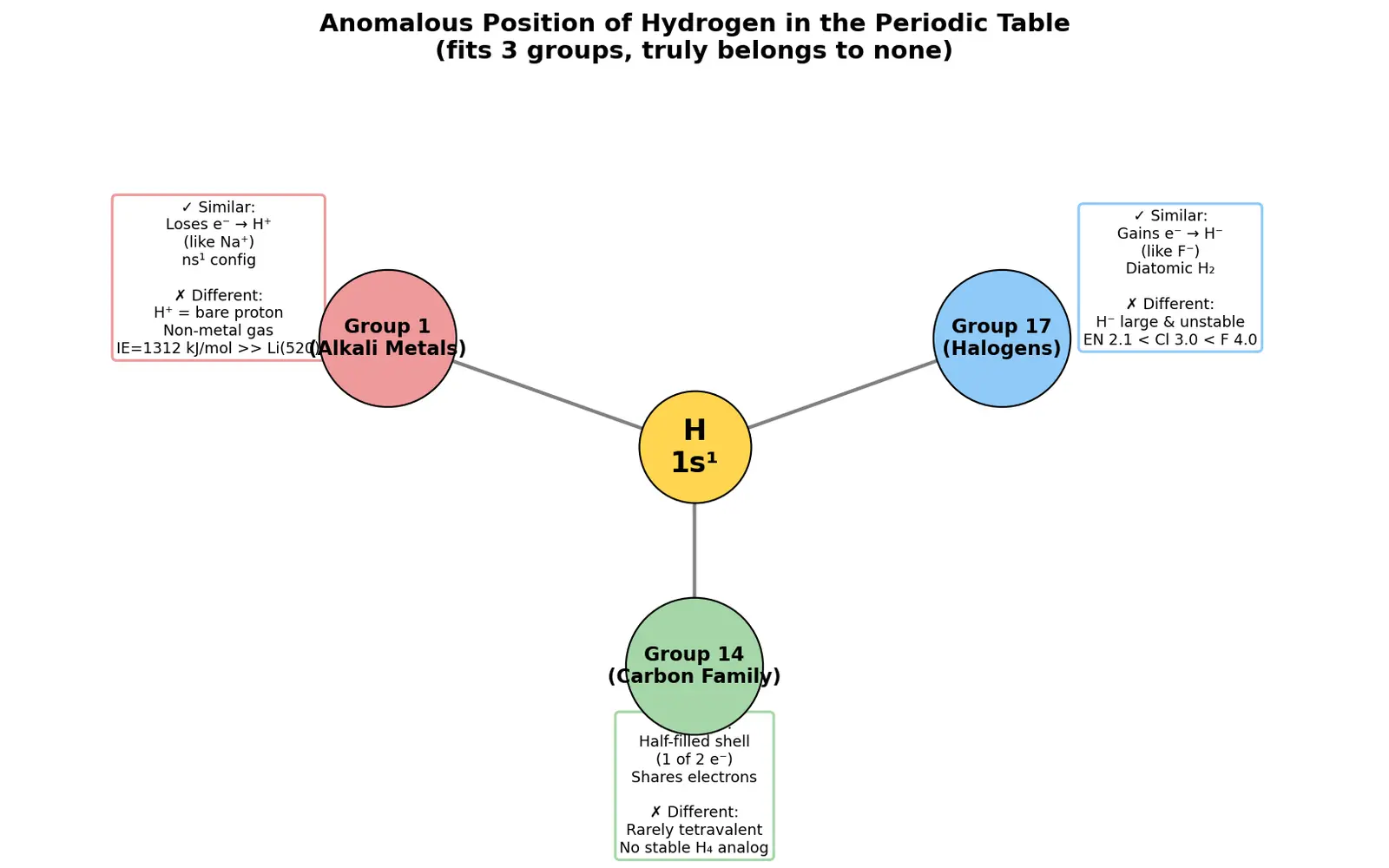 Figure — Position of hydrogen in the periodic table (anomalous)
