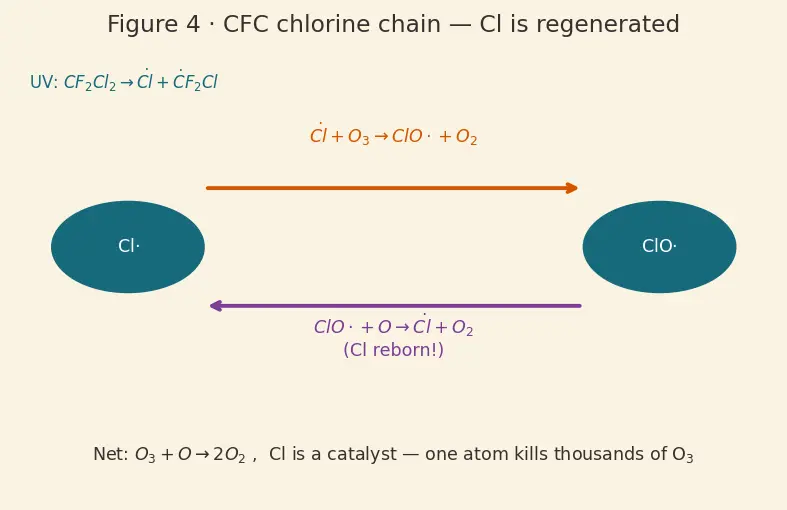 Figure — Group 16 (Oxygen family) — allotropes of O (O₂, O₃); ozone chemistry, ozone layer