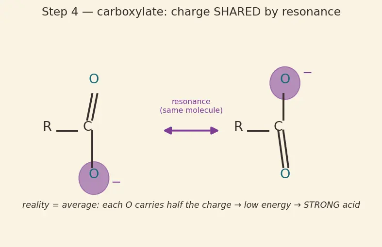 Figure — Carboxylic acids — acidity, derivatives (acid chlorides, anhydrides, esters, amides), Hell-Volhard-Zelinsky, esterificat