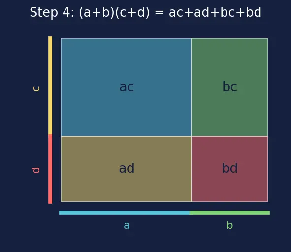 Figure — Multiplication of algebraic expressions — monomial × polynomial, polynomial × polynomial