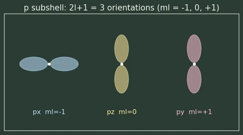 Figure — Pauli exclusion principle