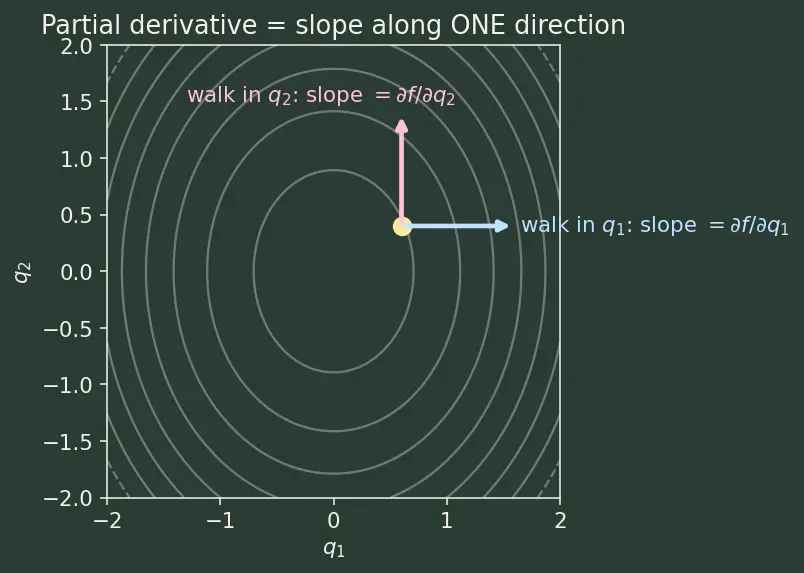 Figure — Generalized momenta and generalized forces