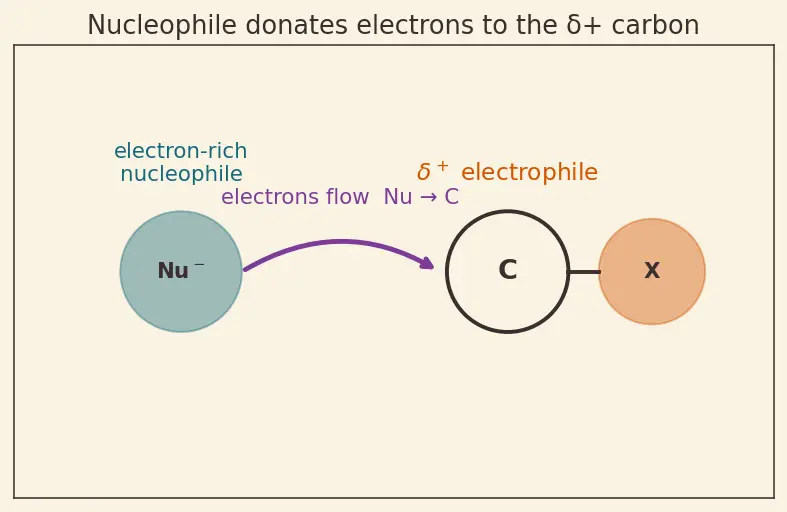 Figure — Alkyl halides — preparation, SN1 vs SN2 (mechanism, kinetics, stereochemistry), E1 vs E2 (mechanism, Zaitsev - Hofmann)