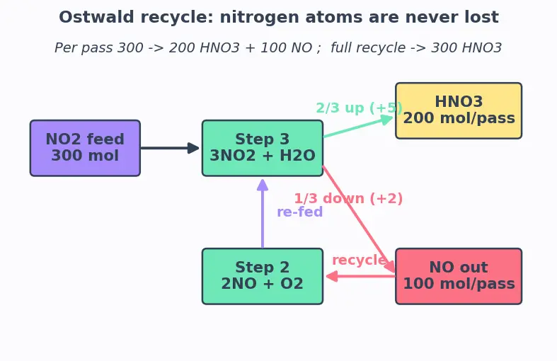 Figure — Group 15 (Nitrogen family) — N₂ inertness; NH₃ synthesis (Haber); HNO₃ (Ostwald); oxides of N (N₂O, NO, NO₂, N₂O₄, N₂O₅)