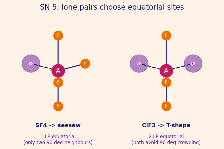 Figure — Effect of lone pairs on geometry (e.g. H₂O bent, NH₃ pyramidal)