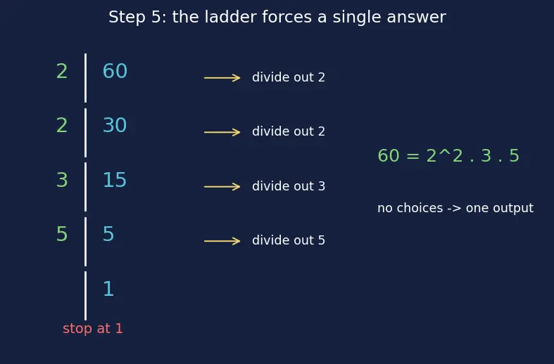Figure — Prime factorization — factor trees, ladder method