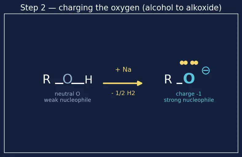 Figure — Ethers — Williamson synthesis, cleavage by HI