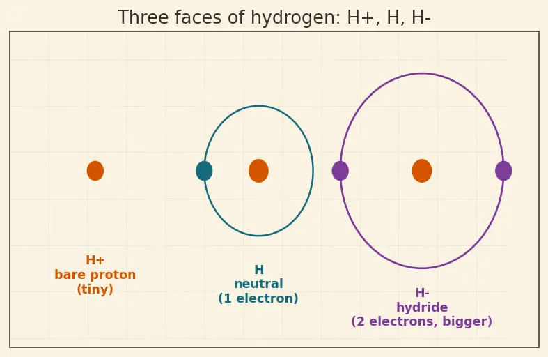 Figure — Position of hydrogen in the periodic table (anomalous)