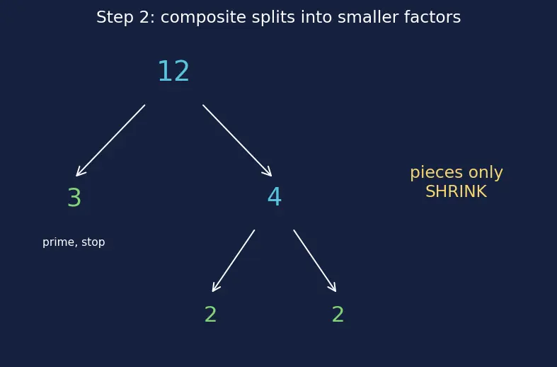 Figure — Prime factorization — factor trees, ladder method