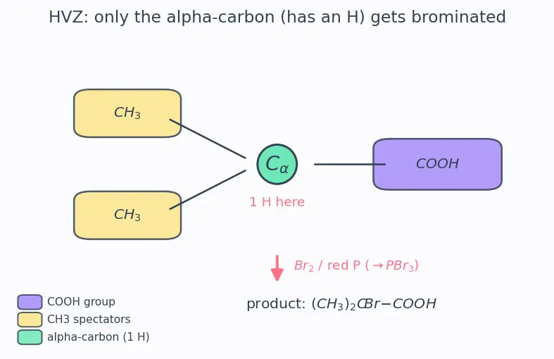 Figure — Carboxylic acids — acidity, derivatives (acid chlorides, anhydrides, esters, amides), Hell-Volhard-Zelinsky, esterificat