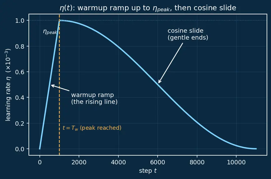 Figure — Learning rate warmup