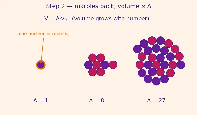 Figure — Nuclear structure — protons, neutrons, nuclear forces
