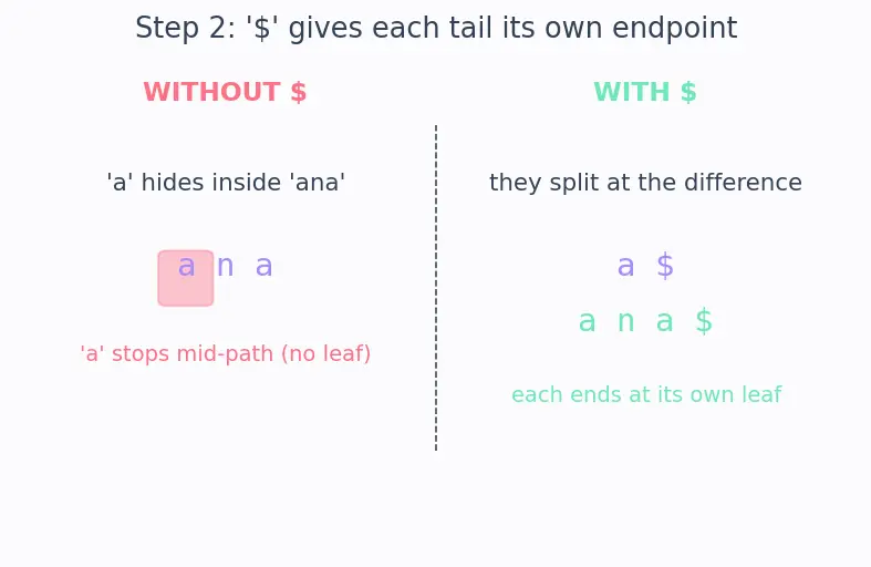 Figure — Suffix tree (conceptual)
