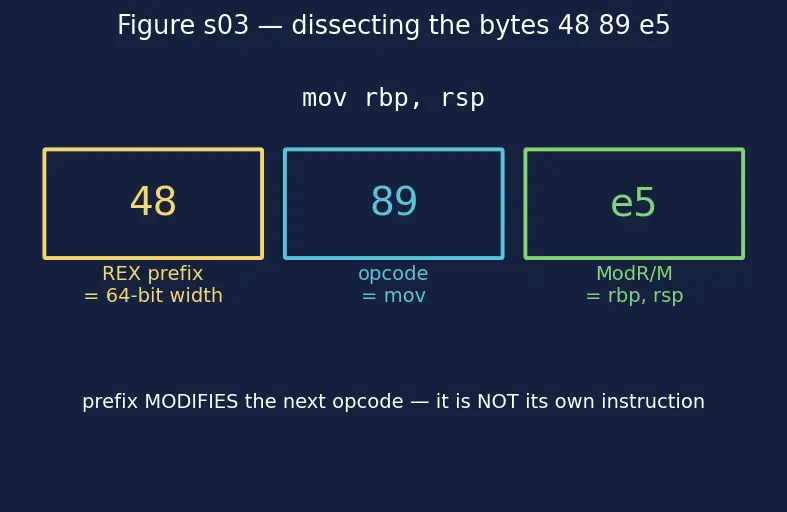 Figure — Disassembly — objdump, reading assembly