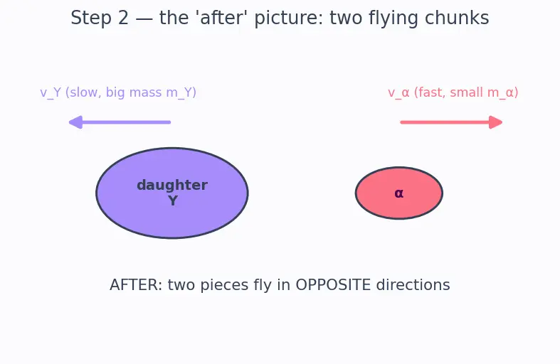 Figure — Radioactive decay — alpha, beta, gamma — mechanisms