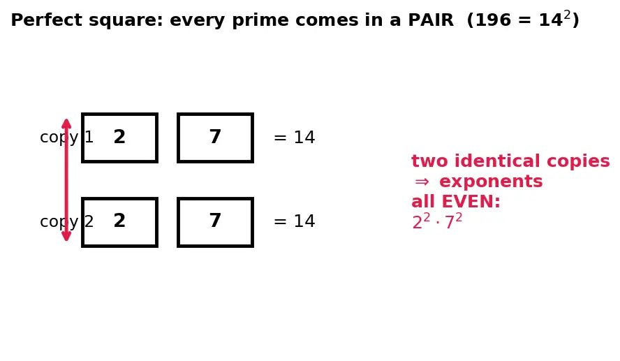 Figure — Prime factorization — factor trees, ladder method