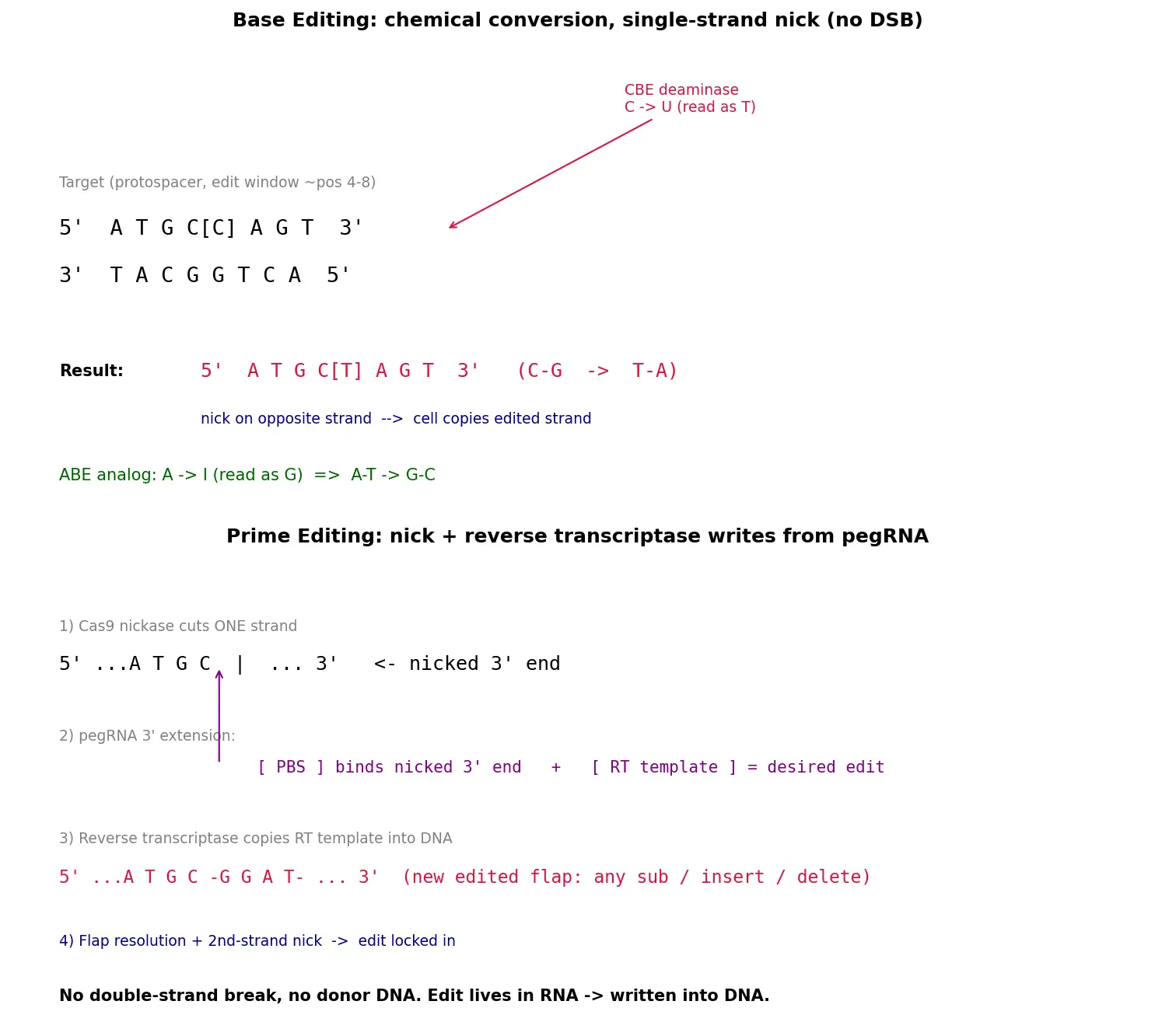 Figure — Explain base editing and prime editing
