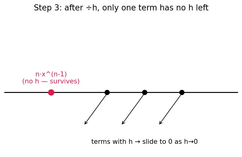 Figure — Power rule — proof for integer, rational exponents