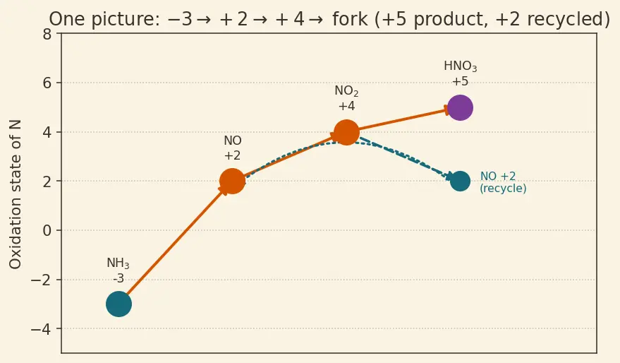 Figure — Group 15 (Nitrogen family) — N₂ inertness; NH₃ synthesis (Haber); HNO₃ (Ostwald); oxides of N (N₂O, NO, NO₂, N₂O₄, N₂O₅)