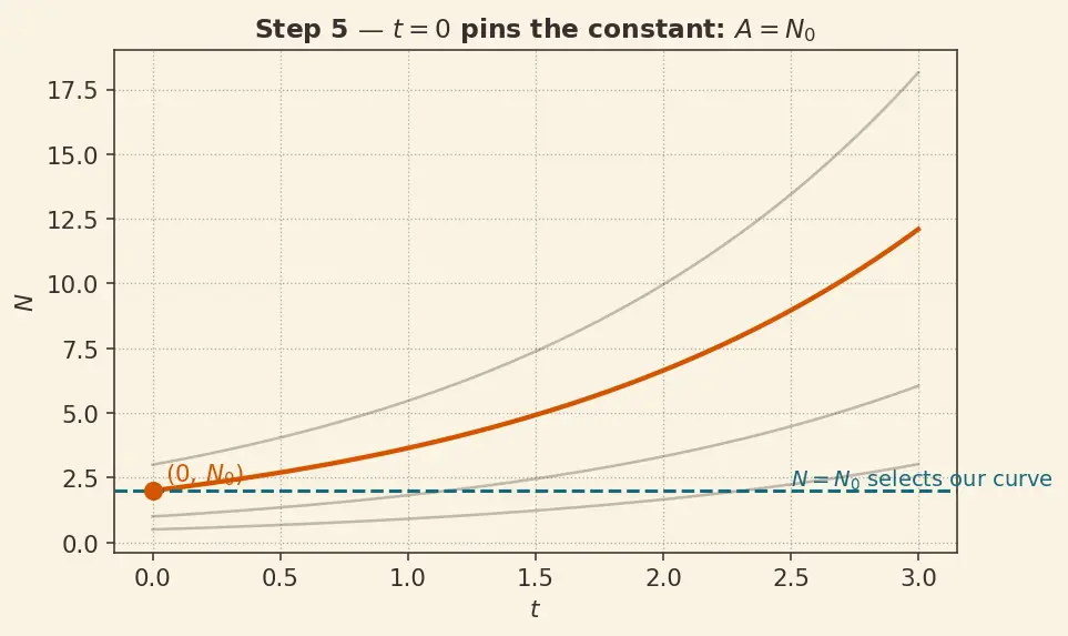 Figure — Exponential growth and decay models — half-life, doubling time