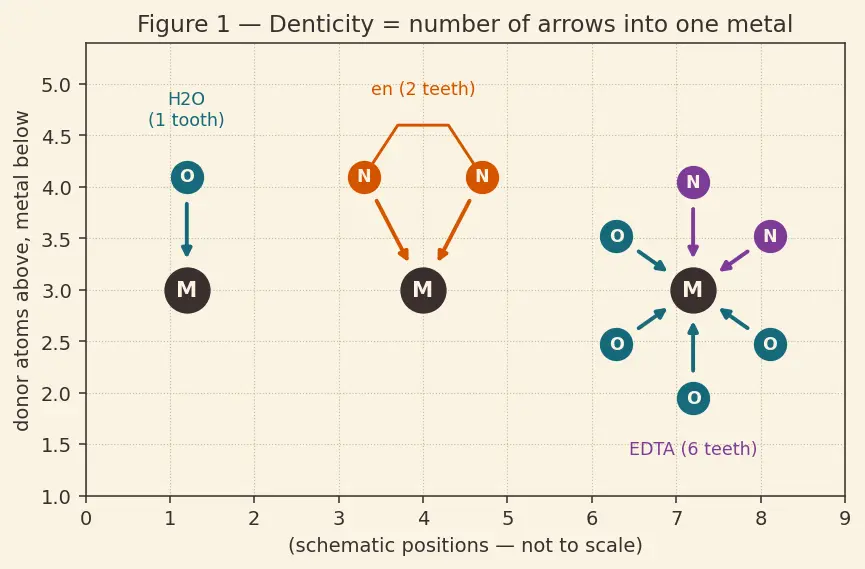 Figure — Ligands — classification (mono, bi, poly, ambidentate, chelating); denticity