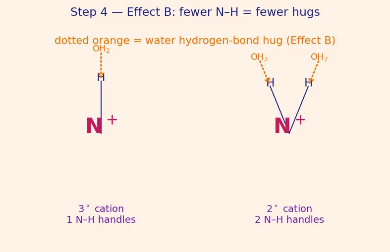 Figure — Amines — basicity (alkyl  -  NH₃  -  aryl in water; reverse in gas phase), Hofmann elimination, carbylamine, Hinsberg te