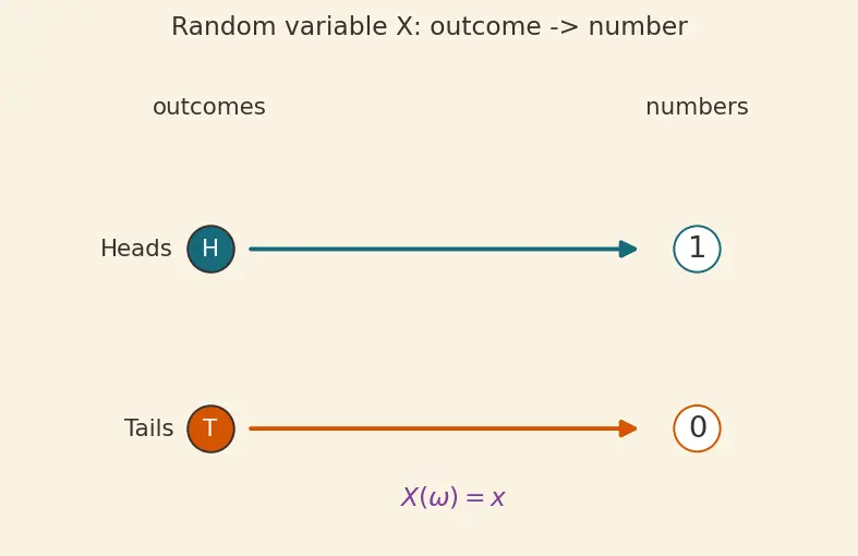 Figure — Probability mass and density functions