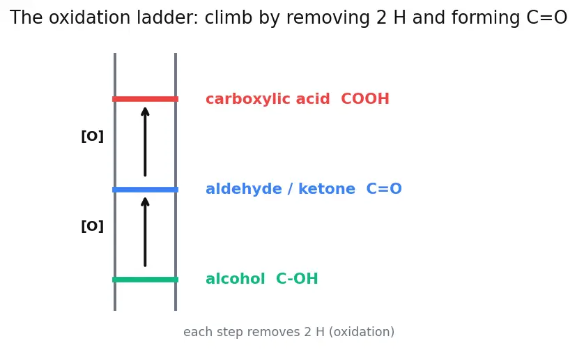 Figure — Alcohols — preparation, acidity (pKa ~16), oxidation (PCC, Jones, K₂Cr₂O₇), Lucas test