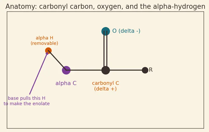 Figure — Aldehydes and ketones — preparation; nucleophilic addition; aldol, Cannizzaro, Wittig, Claisen-Schmidt, Mannich, Reforma