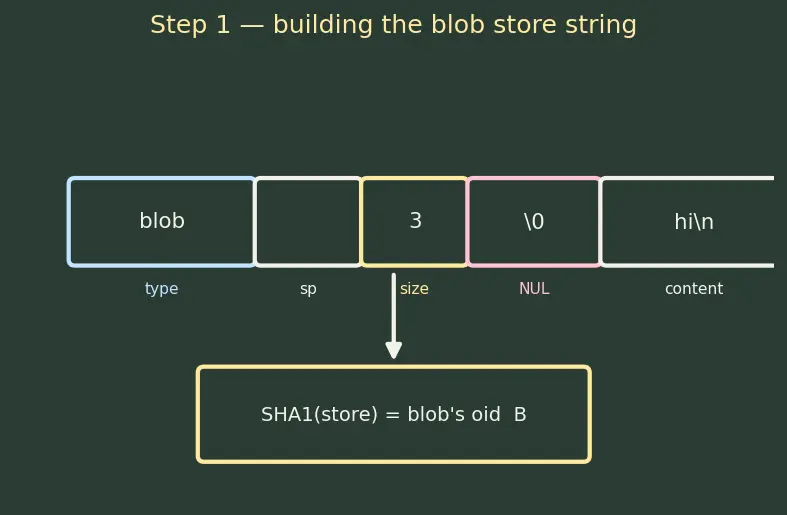 Figure — Git internals — objects (blob, tree, commit, tag), DAG structure