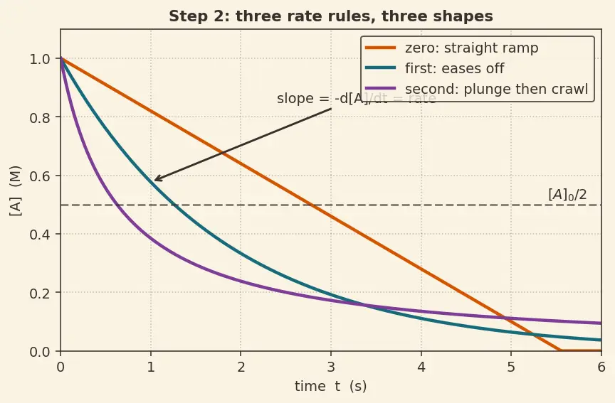 Figure — Integrated rate laws — half-life t₁ - ₂ for each order