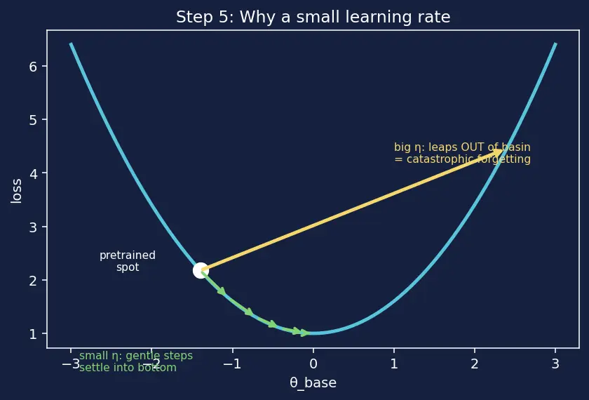 Figure — Transfer learning and fine-tuning